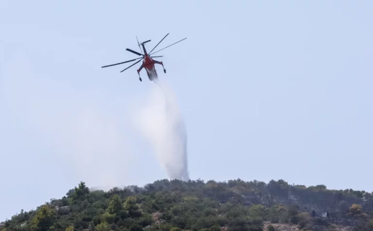 Υπό έλεγχο η φωτιά στη Γουμένισσα Καλαβρύτων