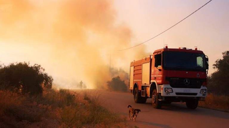 Φωτιά στην Ηλεία: Ένας νεκρός στη φωτιά της Μυρτιάς