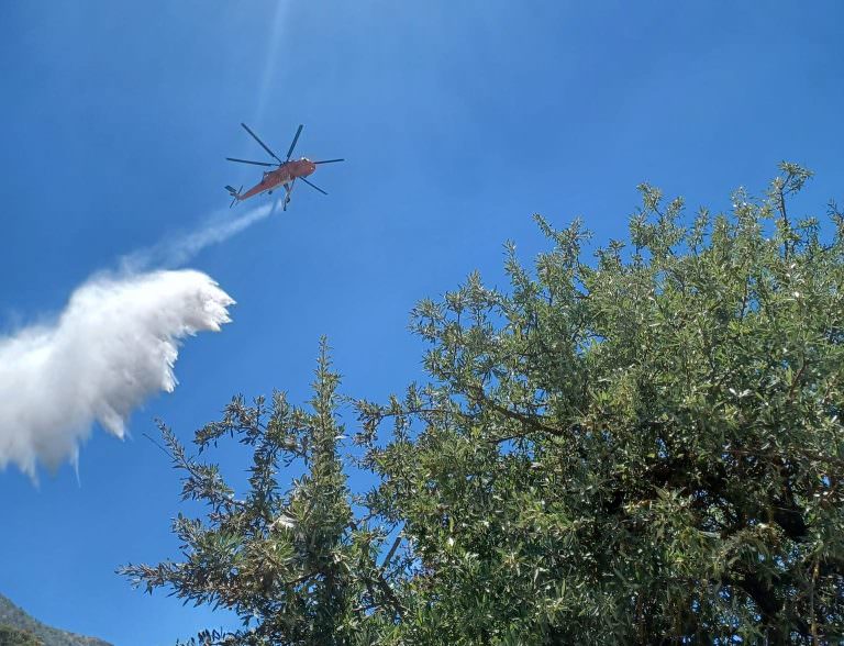 ΣΙΓΟΥΝΙ: Υπό έλεγχο η φωτιά στο Σιγούνι Καλαβρύτων – Πρόλαβαν τα χειρότερα.