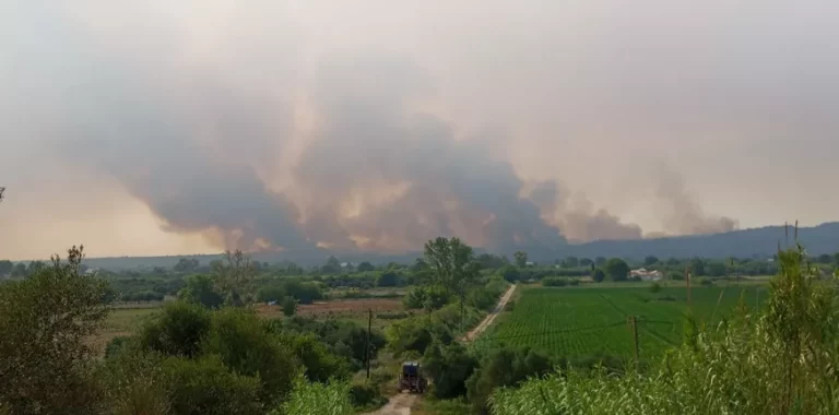 Ηλεία: Μεγάλη πυρκαγιά στο Αλποχώρι κοντά σε σπίτια – Ανησυχεί το μέτωπο