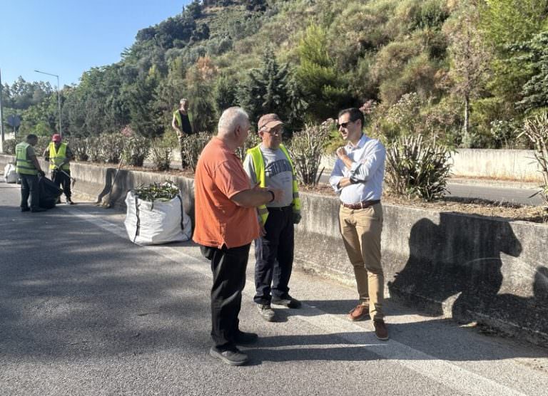 Εργασίες καθαρισμού και συντήρησης πρασίνου σε διαχωριστικές νησίδες της Πάτρας – Επίσκεψη του Αντιπεριφερειάρχη Β. Γιαννόπουλου στη Μικρή Περιμετρική