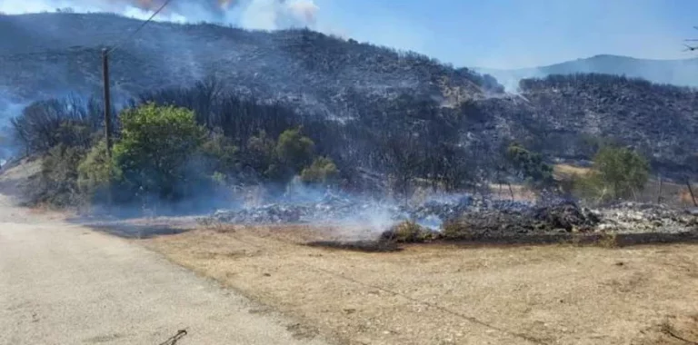 Φωτιά Τριταία Αχαΐας: Ξεκίνησε η καταγραφή των ζημιών, ποια η κατάσταση στους οικισμούς που επλήγησαν ΦΩΤΟ