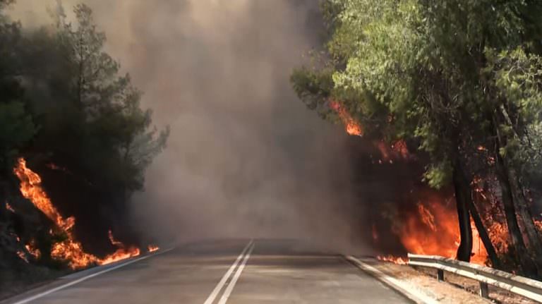 Φωτιά σε δασική έκταση στο Σοφικό Κορινθίας – Τραυματίστηκαν ελαφρά τρεις πυροσβέστες, δείτε βίντεο