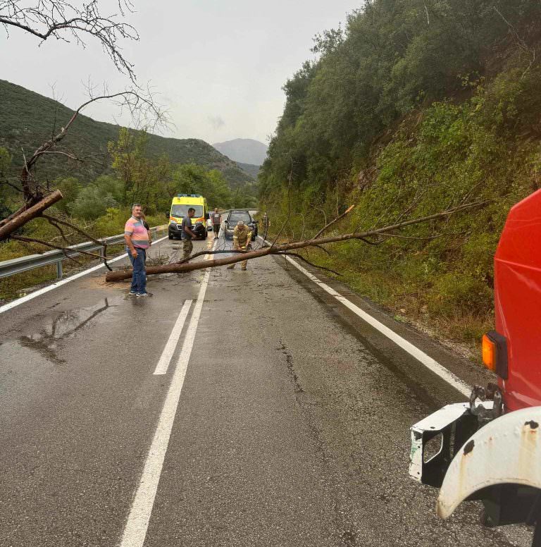 ΚΛΕΙΤΟΡΙΑ: Απομάκρυνση πλατάνου στο ύψος της Κερασιάς επί του Επαρχιακού Δρόμου