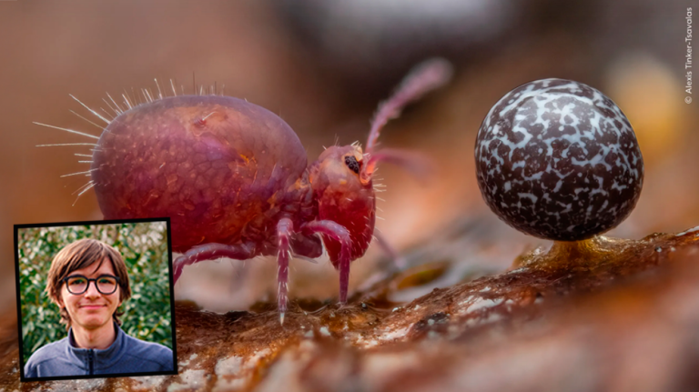 Wildlife Photographer of the Year 2024: Ελληνικής καταγωγής ο νικητής στην κατηγορία των μικρών – Φωτογραφίες