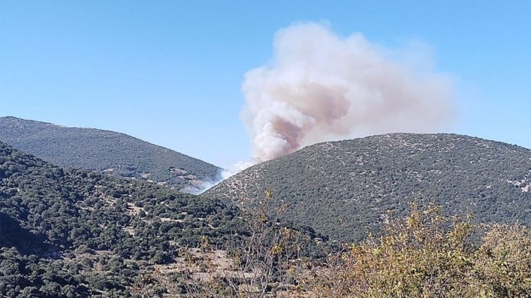 Φωτιά τώρα στην Αγία Παρασκευή Πετρωτού Αχαΐας – Σηκώθηκαν και εναέρια μέσα